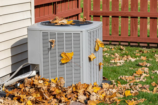 Best HVAC air duct cleaning  in The Hammocks, FL